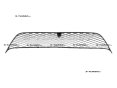 Решетка в бампер (центральная)
