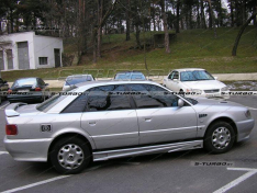 Накладки на пороги V1