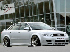 Накладки на пороги RIEGER