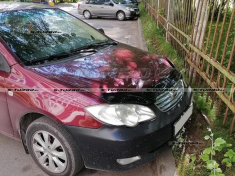 Дефлектор капота