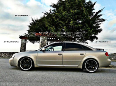 Листва на двери RS6 (двухсторонние)