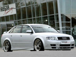 Накладки на пороги RIEGER