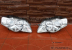 Передние фары ANGEL EYES CHROME