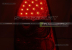 Задние фонари RED SMOKE LED (2004-2008)