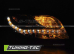 Передние фары DAYLIGHT LED IND. CHROME